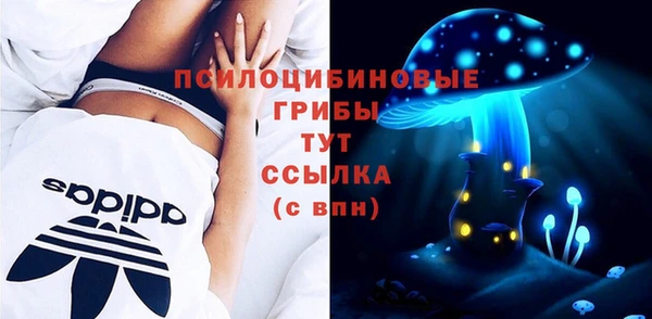 а пвп мука Бородино