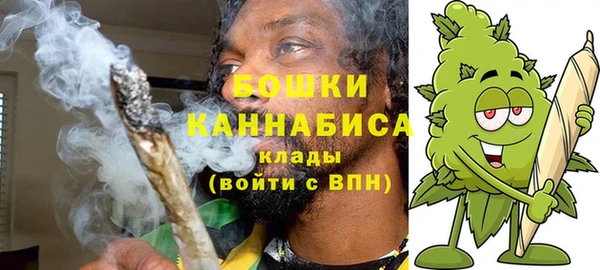 шишки Бронницы