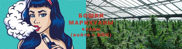 а пвп мука Бородино