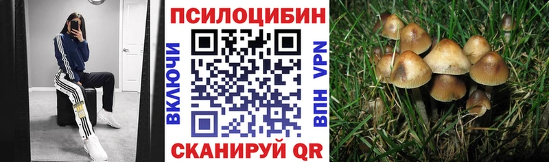 Галлюциногенные грибы Magic Shrooms  наркота  Давлеканово 